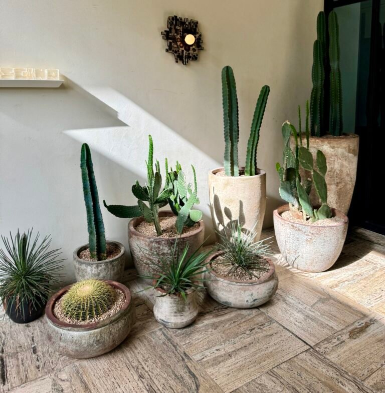 10 Low-Maintenance Plants for Beginners (Hard to Kill, Easy to Love)